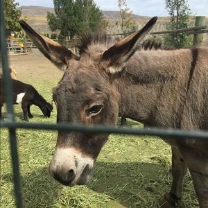 Meet your Posher, Marlene